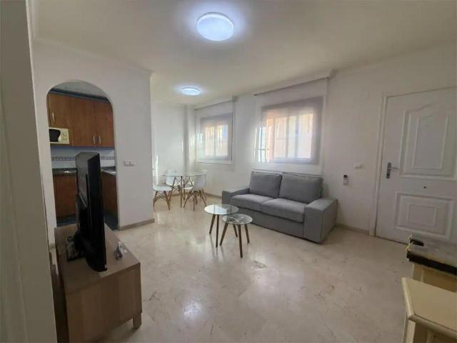 Piso de alquiler en Calle Concepcion Arenal, 8, Cortijo Torrequebrada, Benalmádena