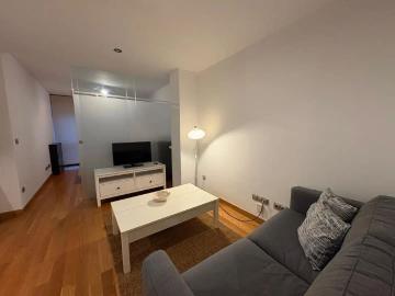 Vigo, Pontevedra, Pontevedra, Galicia, Galicia