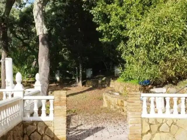 Piso de alquiler en Calle de la Encina, 2, Santa Maria de Trassierra, Córdoba Capital