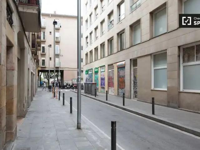 Piso de alquiler en El Raval, Barcelona Capital