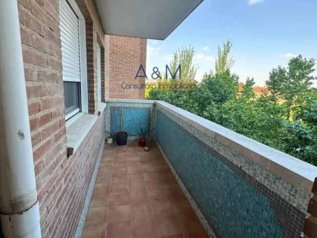 Piso de alquiler en Paseo Zorrilla, La Rubia, Valladolid Capital