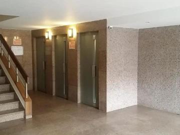 Faisán, Villarrobledo, Albacete, Castilla-La Mancha, Castilla-La Mancha