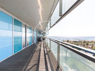 Gandhi, Vista Bella, Santa Cruz, La Higuerita, Tenerife, Santa Cruz de Tenerife, Islas Canarias, Islas Canarias