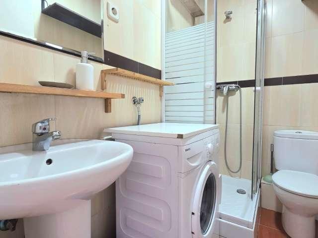 Piso de 1 dormitorio en alquiler en Trafalgar, Madrid