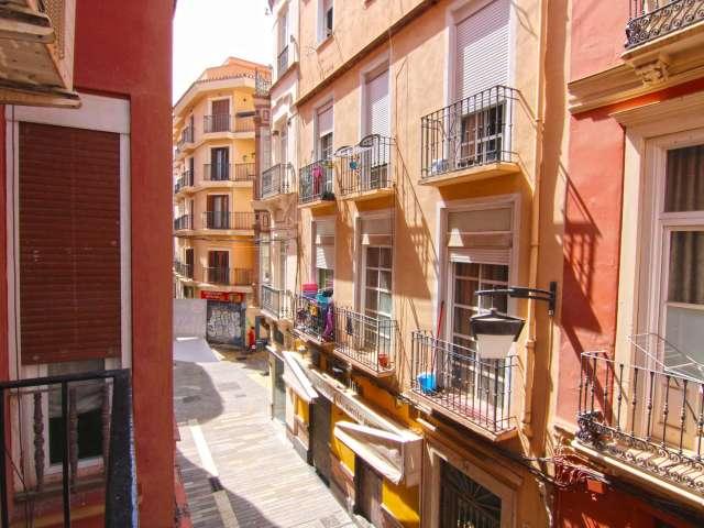 Piso de 1 dormitorio en alquiler en Centro Histórico, Málaga