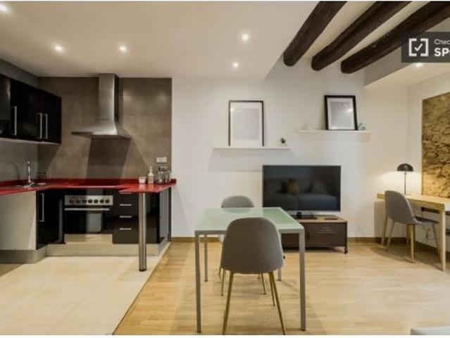 Piso de 1 dormitorio en alquiler en El Raval