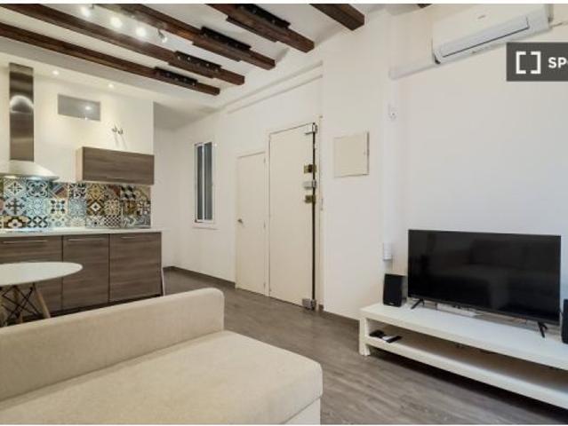 Piso de 1 dormitorio en alquiler en El Raval