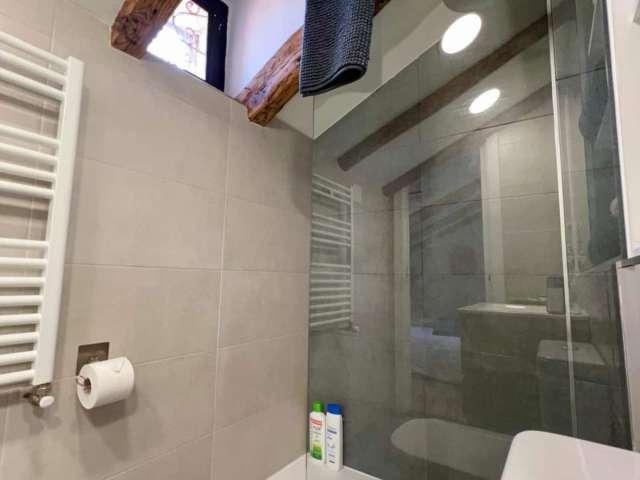Piso de 1 dormitorio en alquiler en Embajadores, Madrid