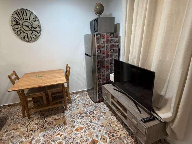 Piso de 1 dormitorio en alquiler en Embajadores, Madrid