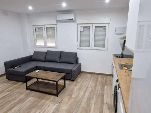 Piso de 1 dormitorio en alquiler en Málaga