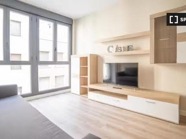 Piso de 1 dormitorio en alquiler en Prosperidad, Madrid