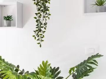 Piso de 1 habitación en Tejeda