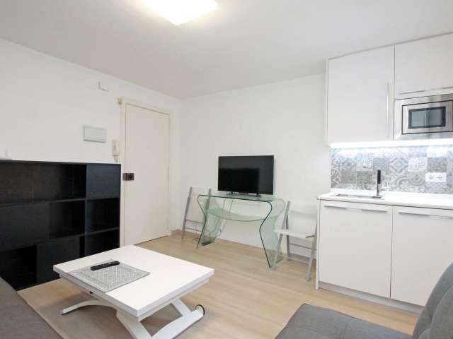 Piso de 1 habitación en alquiler en El Raval, Barcelona
