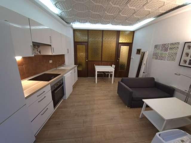 Piso de 1 habitación en alquiler en Sant Francesc