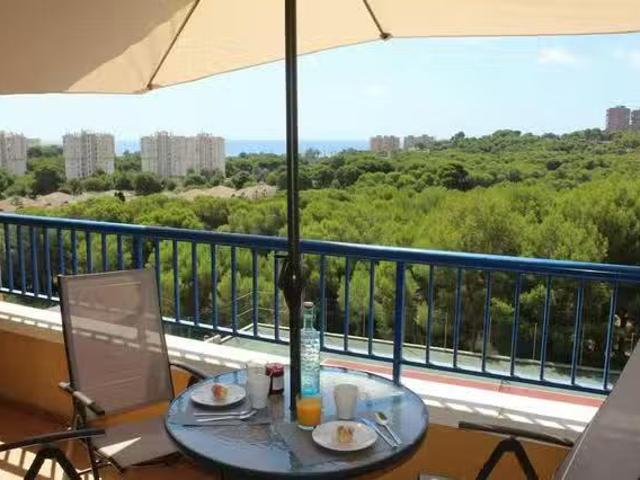 Piso de 1 habitación en Calle Samaniego, Dehesa de Campoamor