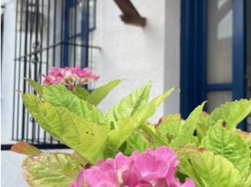 Piso de 2 dormitorios en alquiler en Comillas