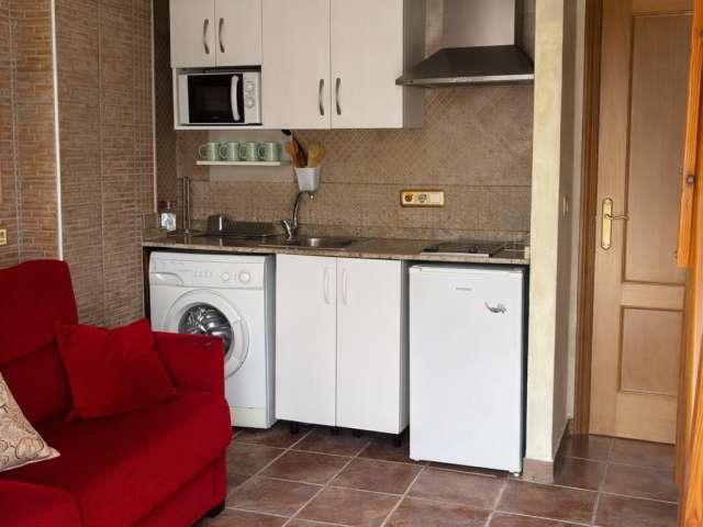 Piso de 2 dormitorios en alquiler en Alicante