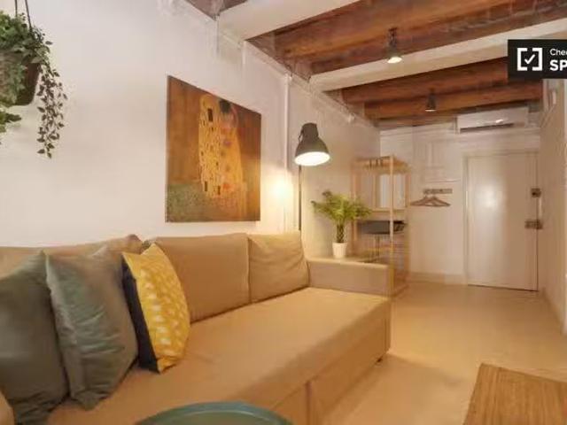 Piso de 2 habitaciones en alquiler en el Gótico, Barcelona