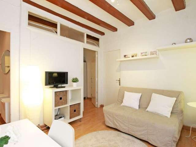 Piso de 2 habitaciones en alquiler en El Raval, Barcelona