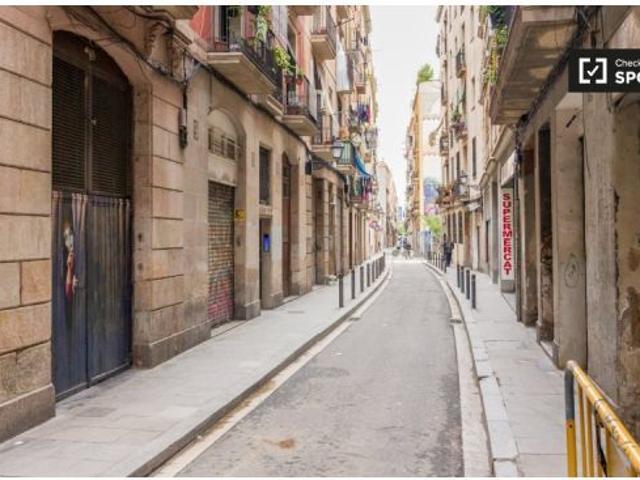 Piso de 2 habitaciones en alquiler en El Raval, se admiten mascotas, se permite fumar