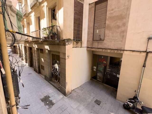 Piso de 2 habitaciones en alquiler en Sant Pere, Barcelona