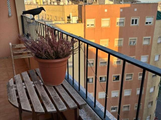 Piso en alquiler de 2 habitaciones en El Turó de la Peira