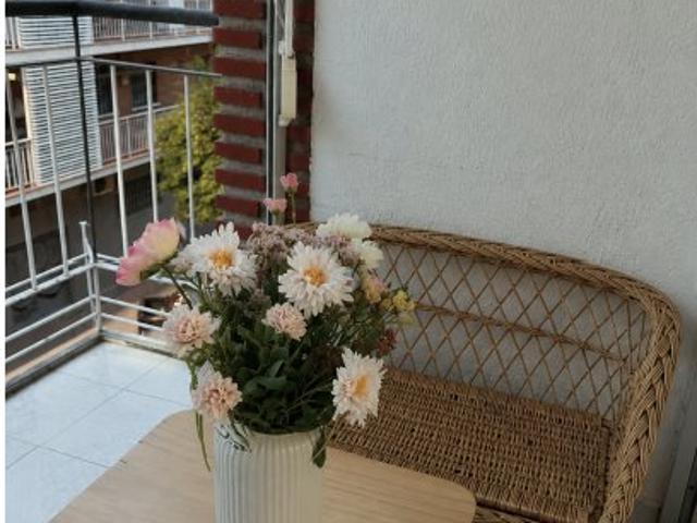 Piso de 3 habitaciones en alquiler en Numancia, Madrid