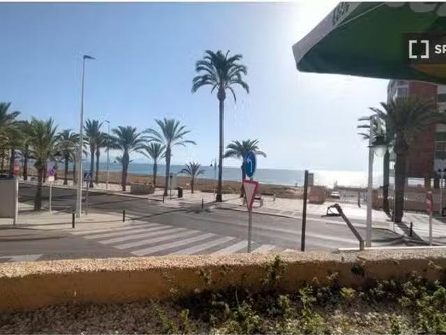 Piso de 3 habitaciones en alquiler en Elche