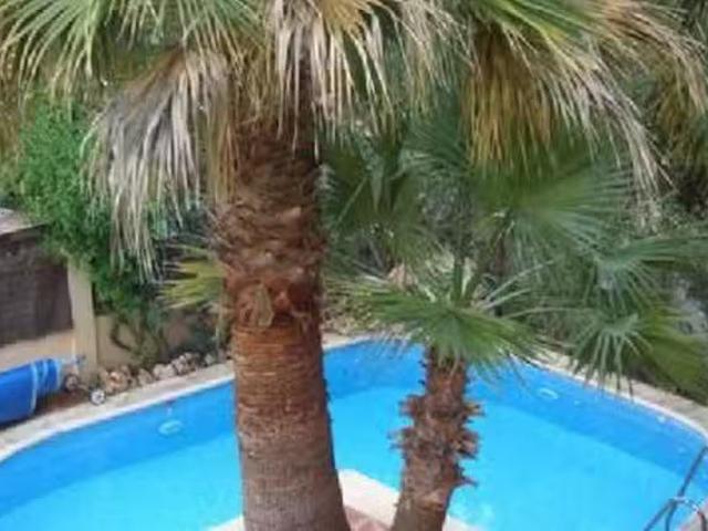 Piso de 3 habitaciones en Urbanización el Coto, 29651 Mijas, M.