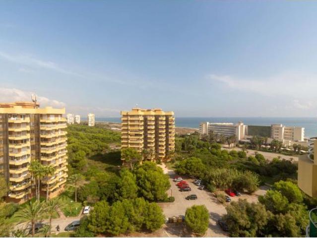 Piso de 4 habitaciones en alquiler en El Saler, Valencia