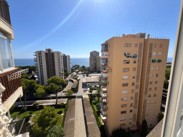 Piso, Dehesa de Campoamor, Orihuela