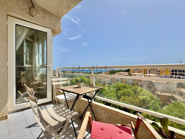 Piso, Dehesa de Campoamor, Orihuela
