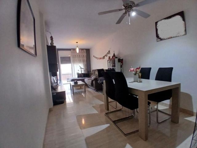 Piso, Deltebre