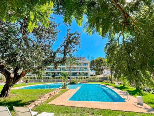 Piso, Denia