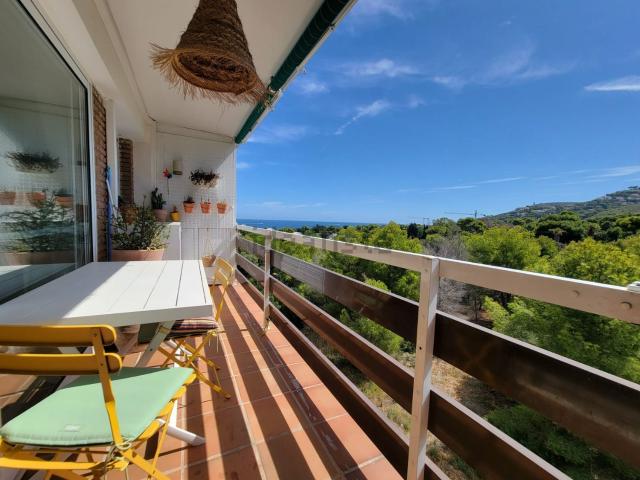 Piso, Denia