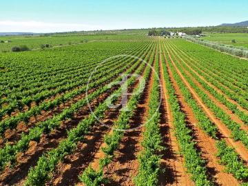 Piso exclusivo de 800 m2 en venta en Utiel, Comunidad Valenciana