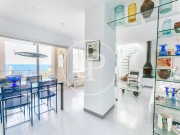 Port d'Andratx, Es Camp de Mar, Mallorca, Islas Baleares