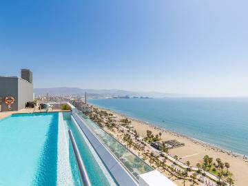 Palmeral de las Sorpresas, Casco Antiguo de Málaga, Málaga, Málaga, Andalucía, Andalucía