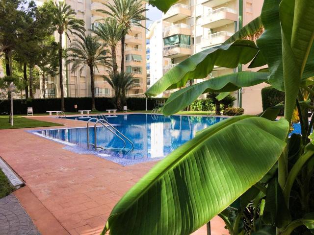 Piso exclusivo en alquiler en Gandía, Comunidad Valenciana