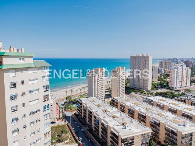 Piso, El Campello