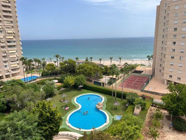 Piso, El Campello