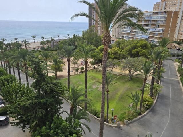 Piso, El Campello