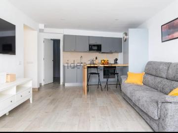 Palmeral de las Sorpresas, Casco Antiguo de Málaga, Málaga, Málaga, Andalucía, Andalucía