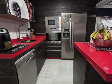 Palmeral de las Sorpresas, Casco Antiguo de Málaga, Málaga, Málaga, Andalucía, Andalucía