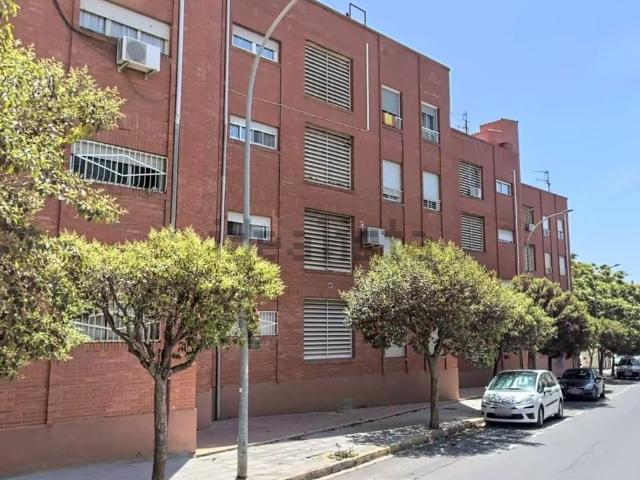 Piso, Elda