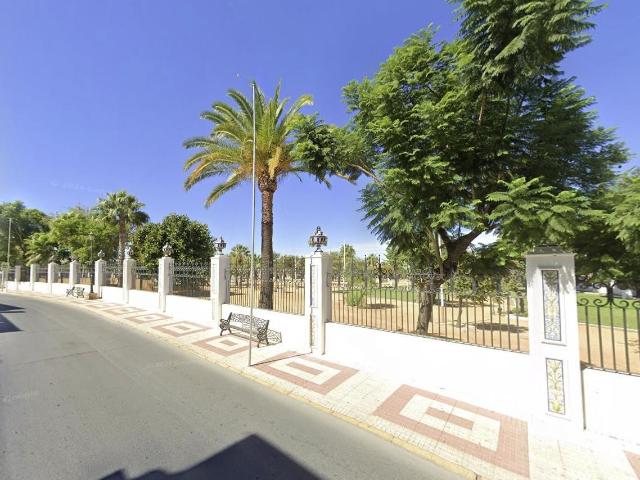 PISO EN ALMONTE