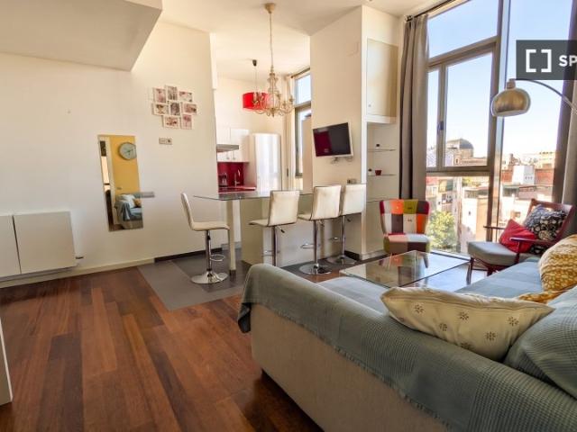 Piso en alquiler de 1 dormitorio en El Gòtic, Barcelona