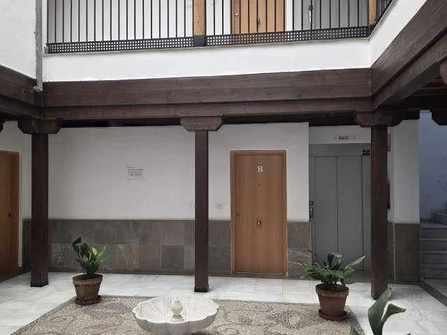 Piso en alquiler de 1 dormitorio en San Matías Realejo