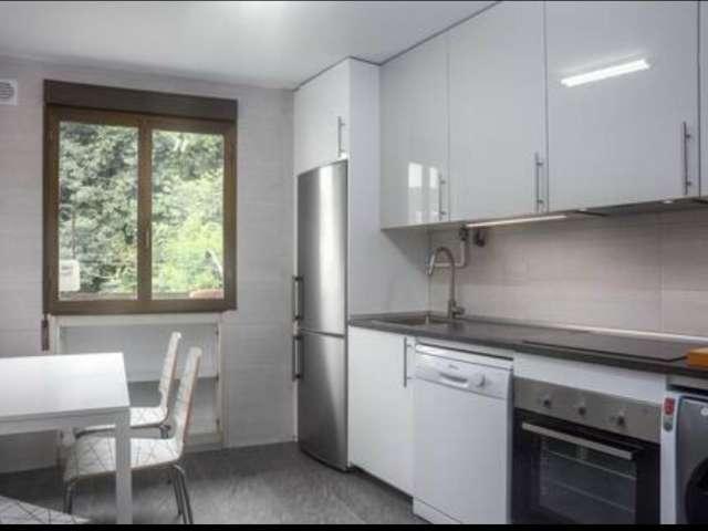Se alquila piso de 2 habitaciones en Egia, San Sebastián