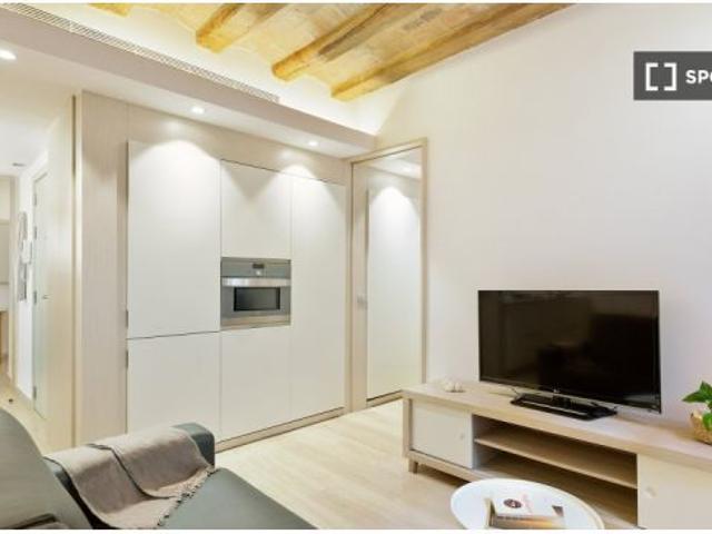 Piso en alquiler de 2 habitaciones en El Gòtic, Ciutat Vella
